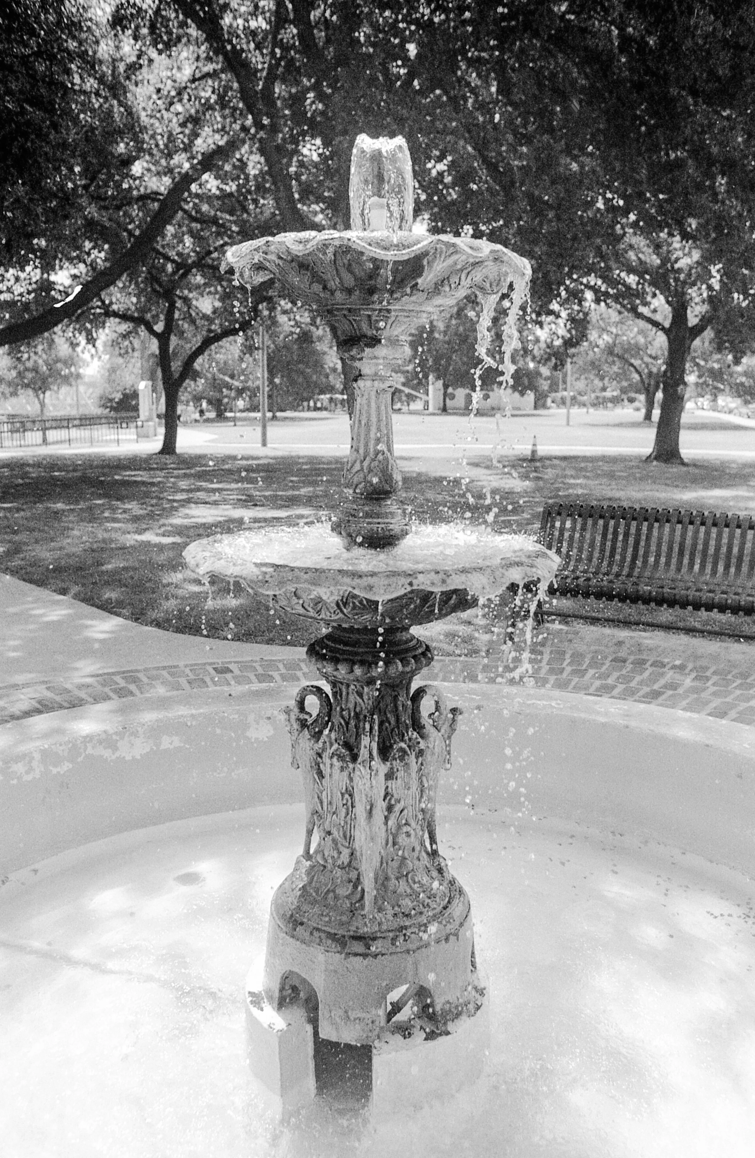 img010.JPG