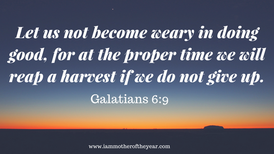 Let us not become weary in doing good, for at the proper time we will reap a harvest if we do not give up..png