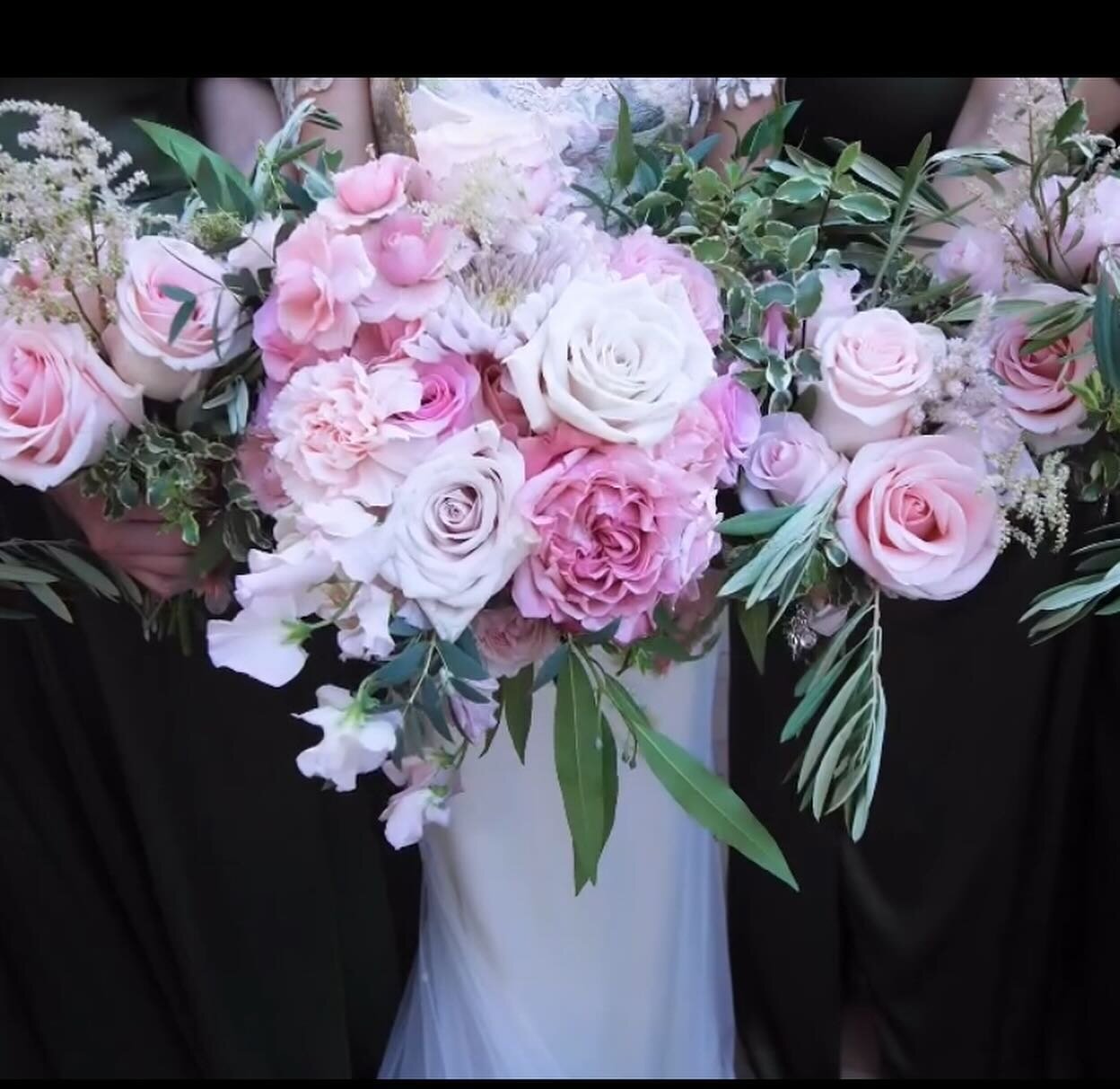 The artistry of nature, the romance of roses. Beautiful wedding bouquet stills from one of our favorite wedding videos by @thebyrdsistersfilms 

Video: @thebyrdsistersfilms 
Venue: @paduaweddings 
Photographer: @altstd.co 
Floral: @figureeightevents 