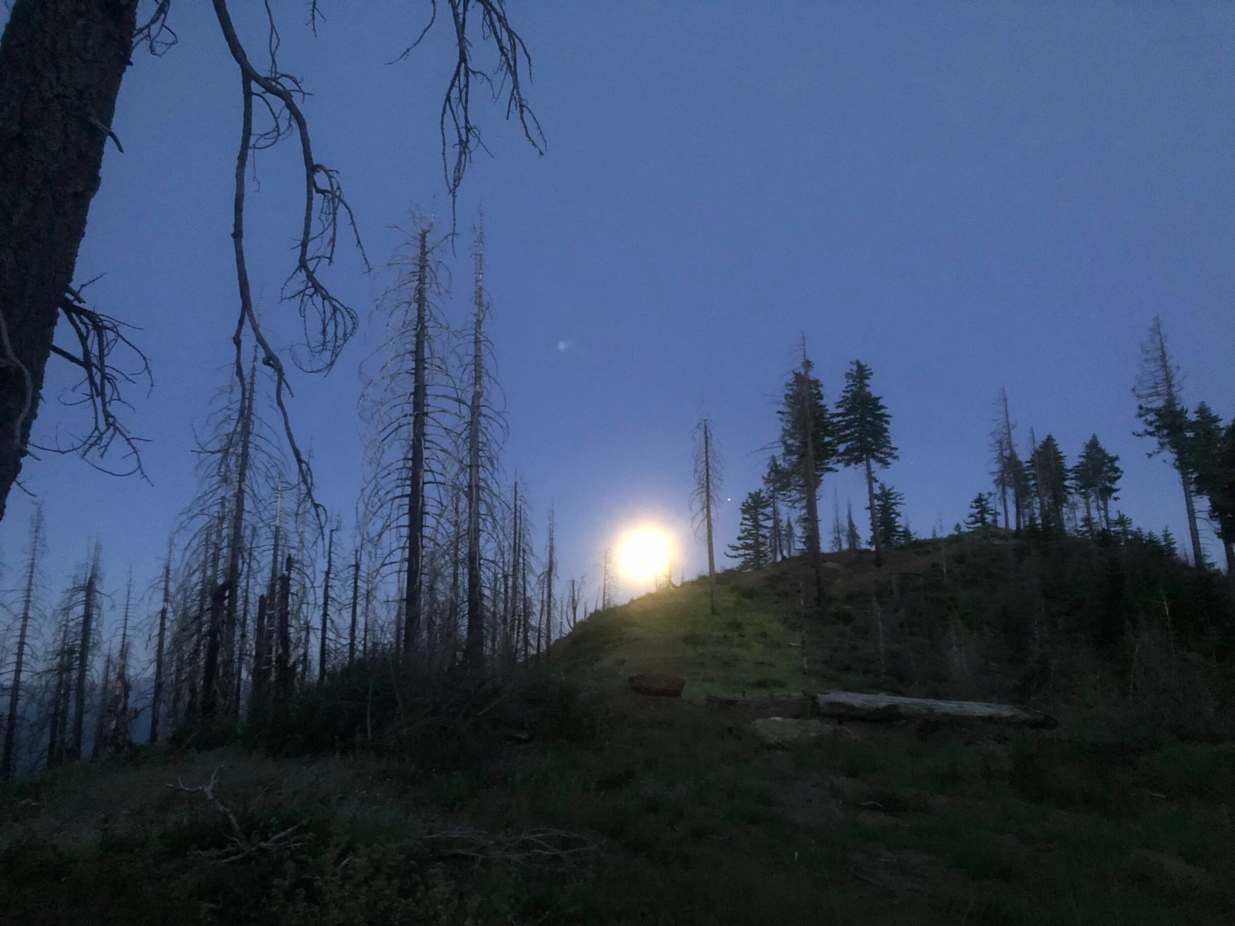 Your Womb/ Venus/ & the Moon