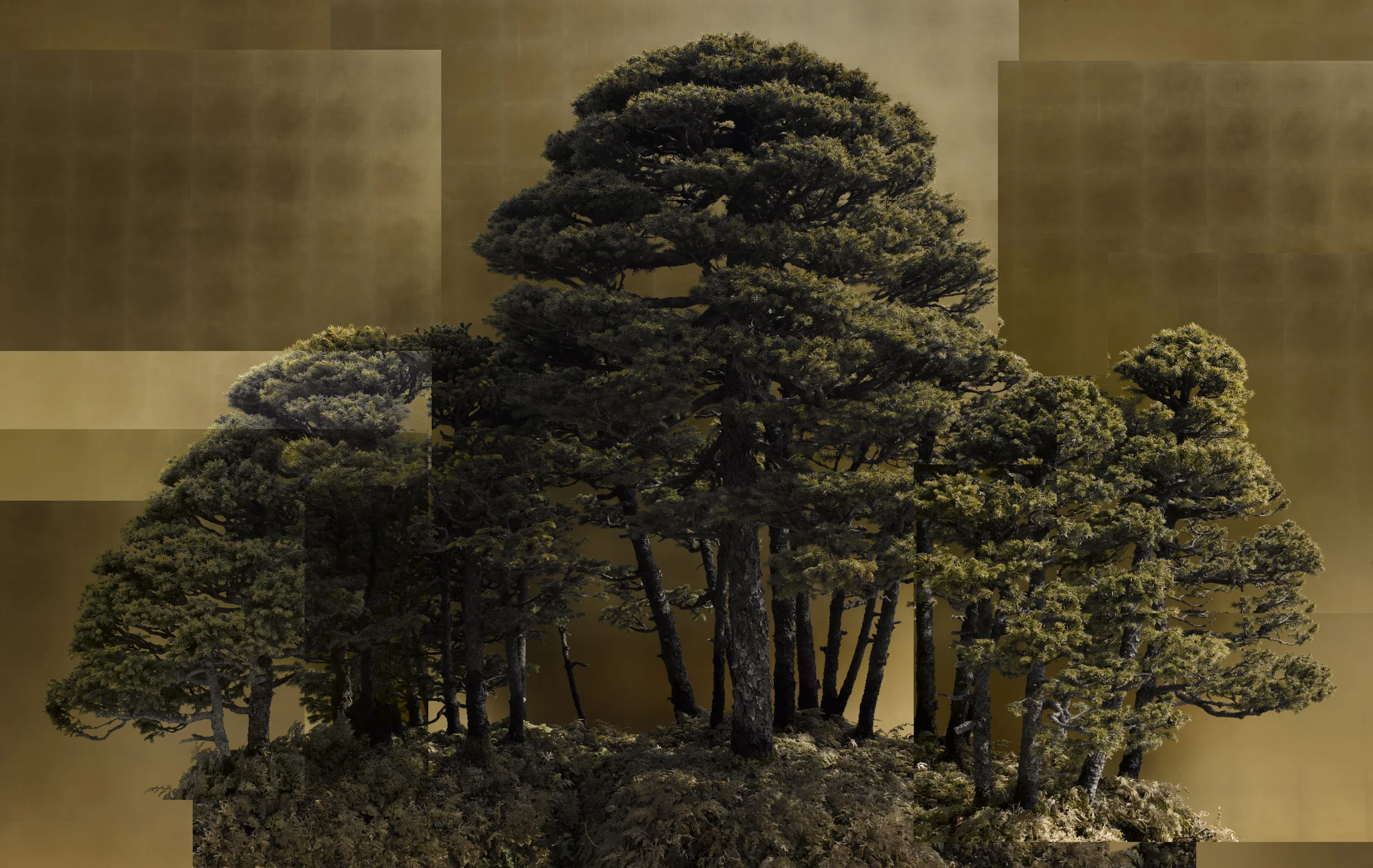 寄せ植え.jpg