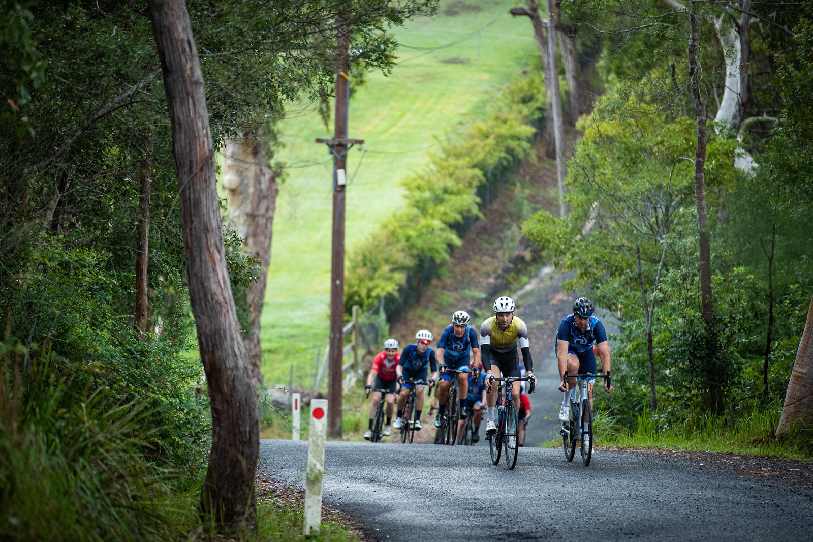 Mind Matters 1 Day Training Camp: Sydney, November 4, 2023.
