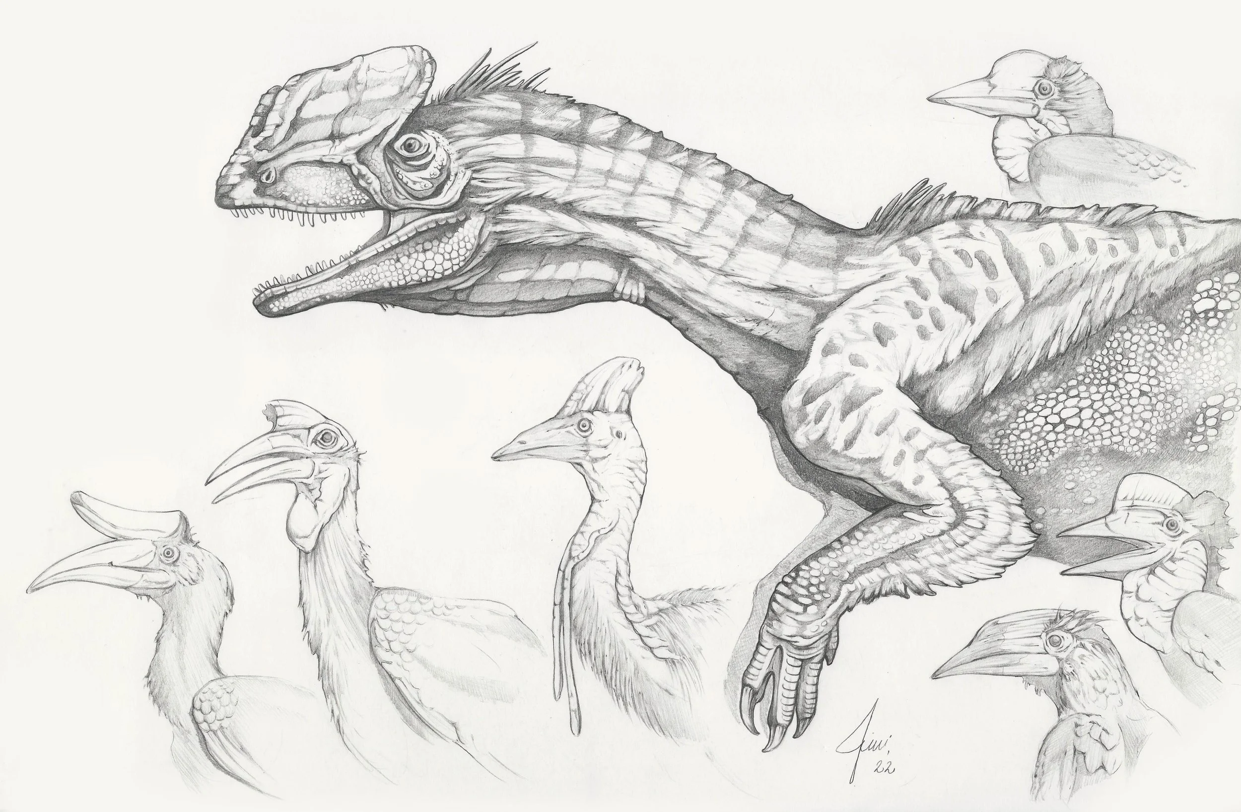 dilophosaurus.jpg