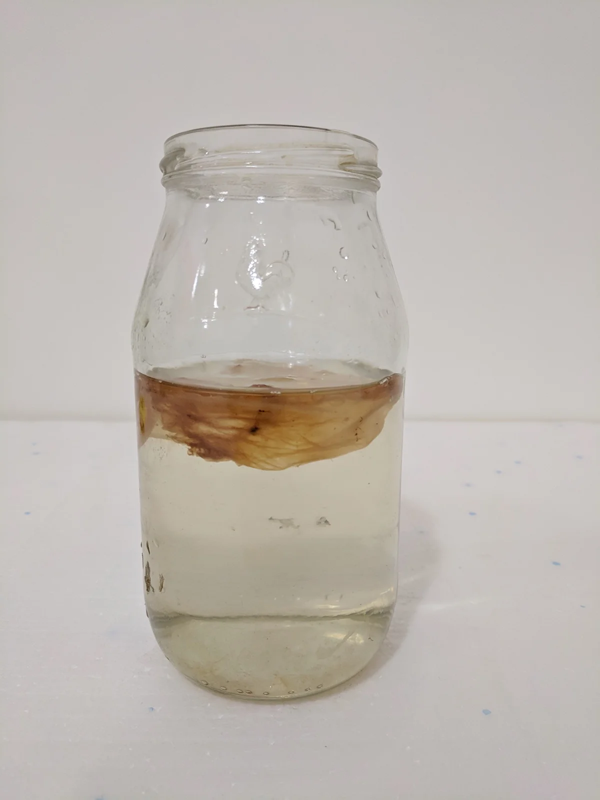 STEP 2. Place Mother in a jar to reuse