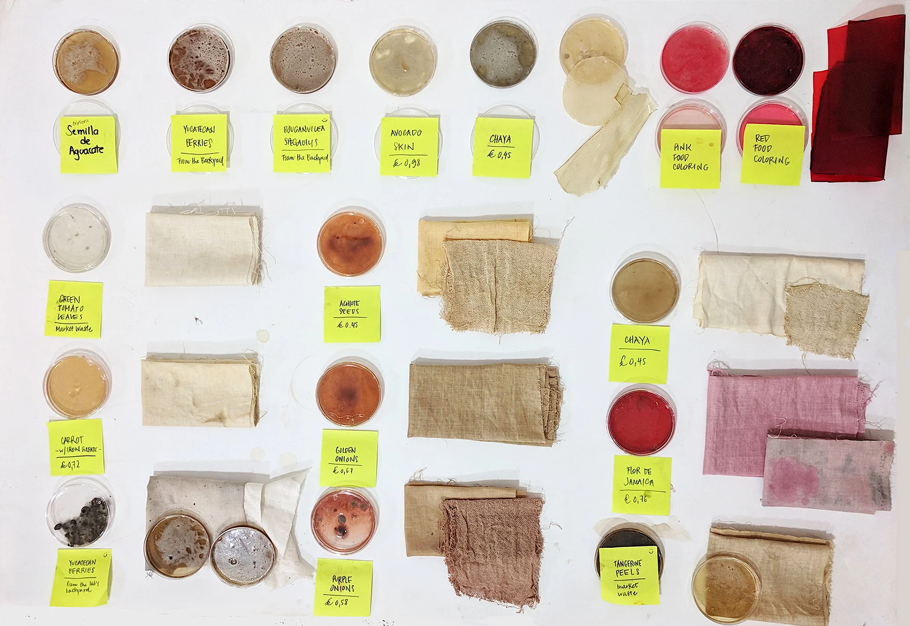 Final display of all the bio dyes.
