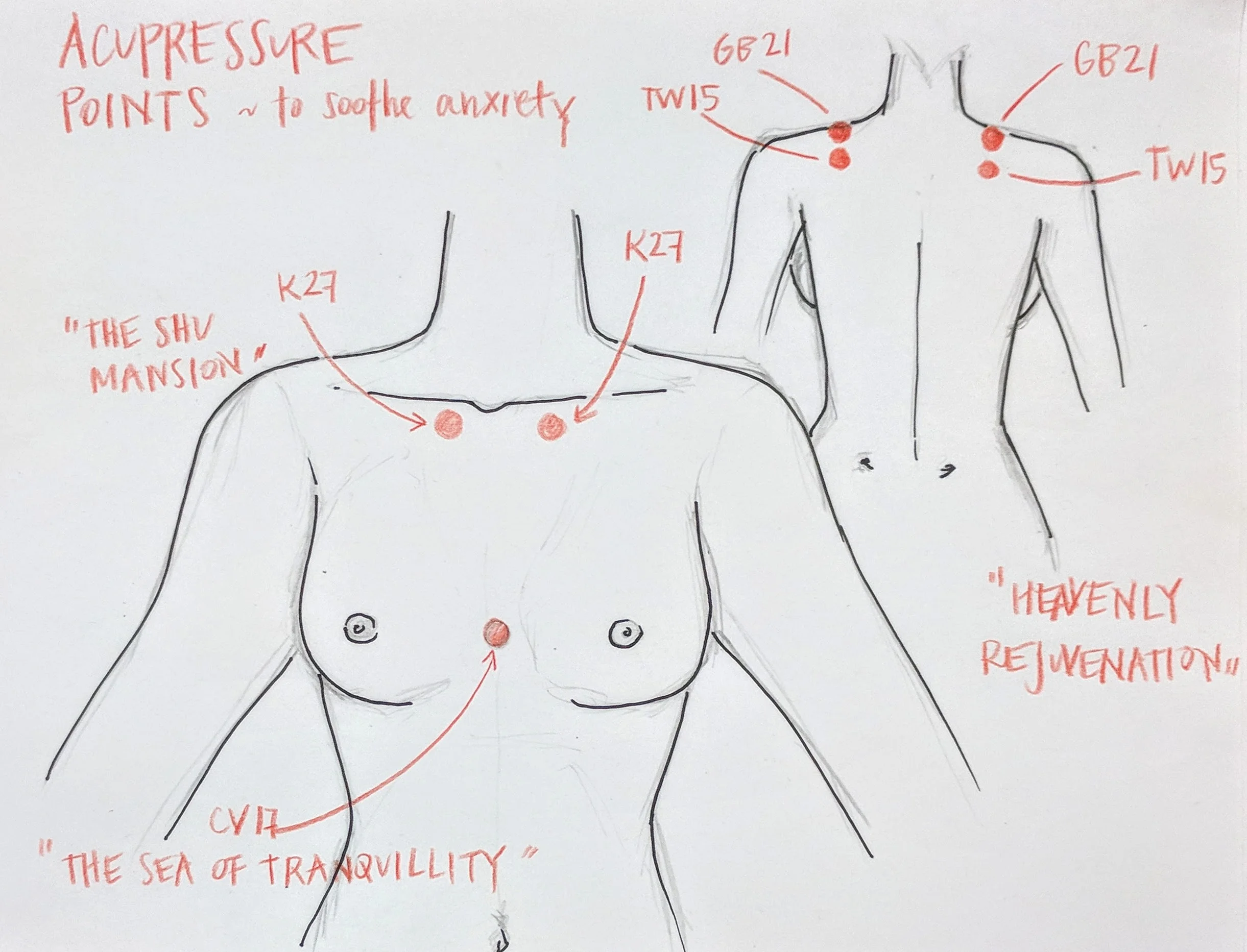 S1:W1_ACUPRESSURE POINTS.jpg