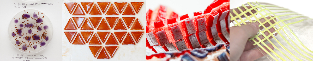 W7_Collage bioplastic composites.jpg