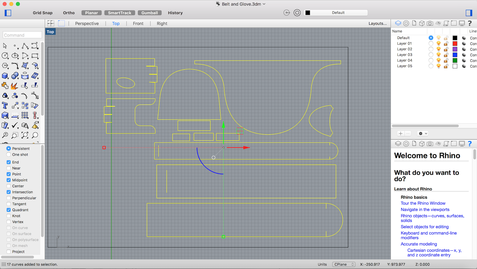 W12_rhino patterns.png