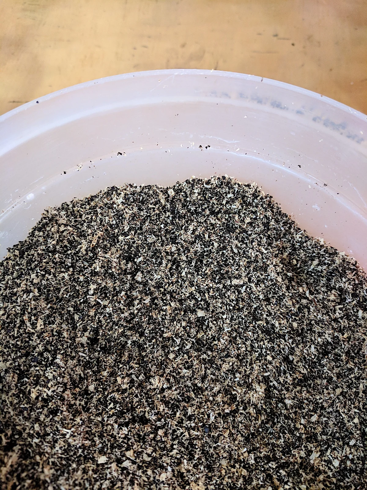 S2:W1_substrate uncooked.jpg