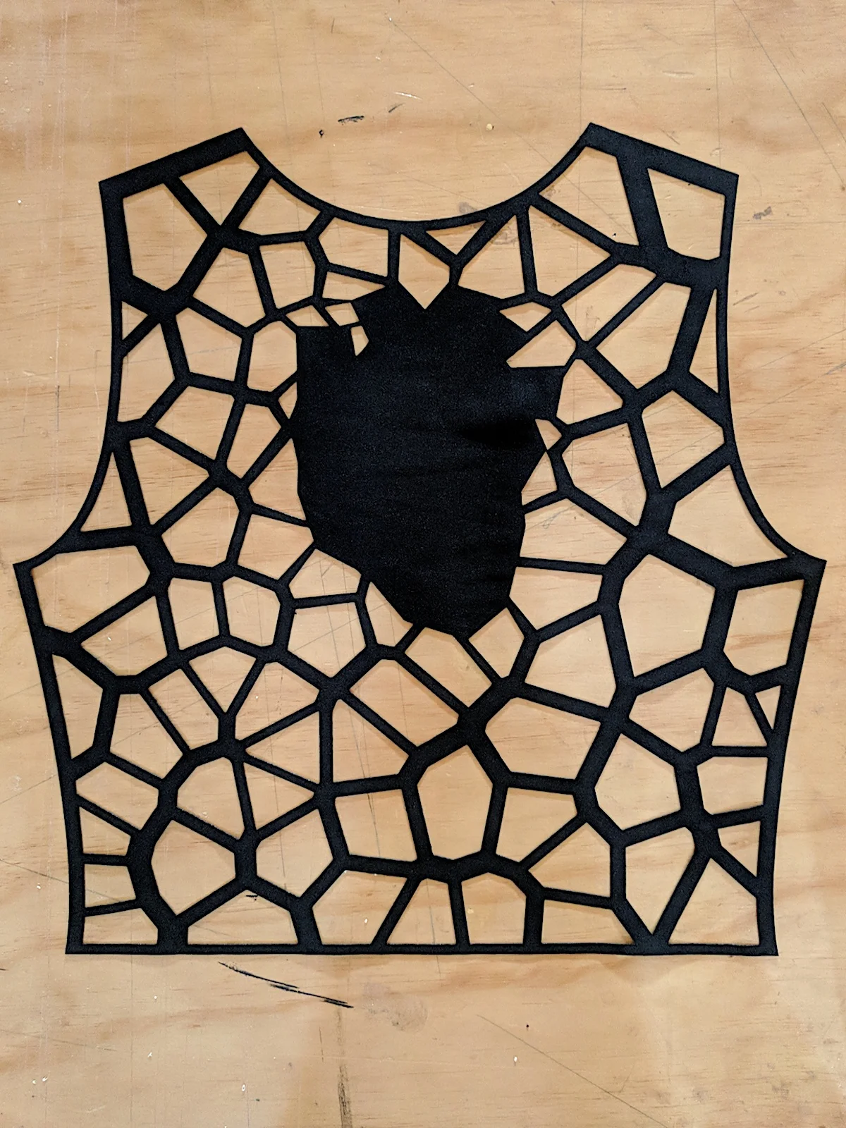 S3:W2_black voronoi full.jpg