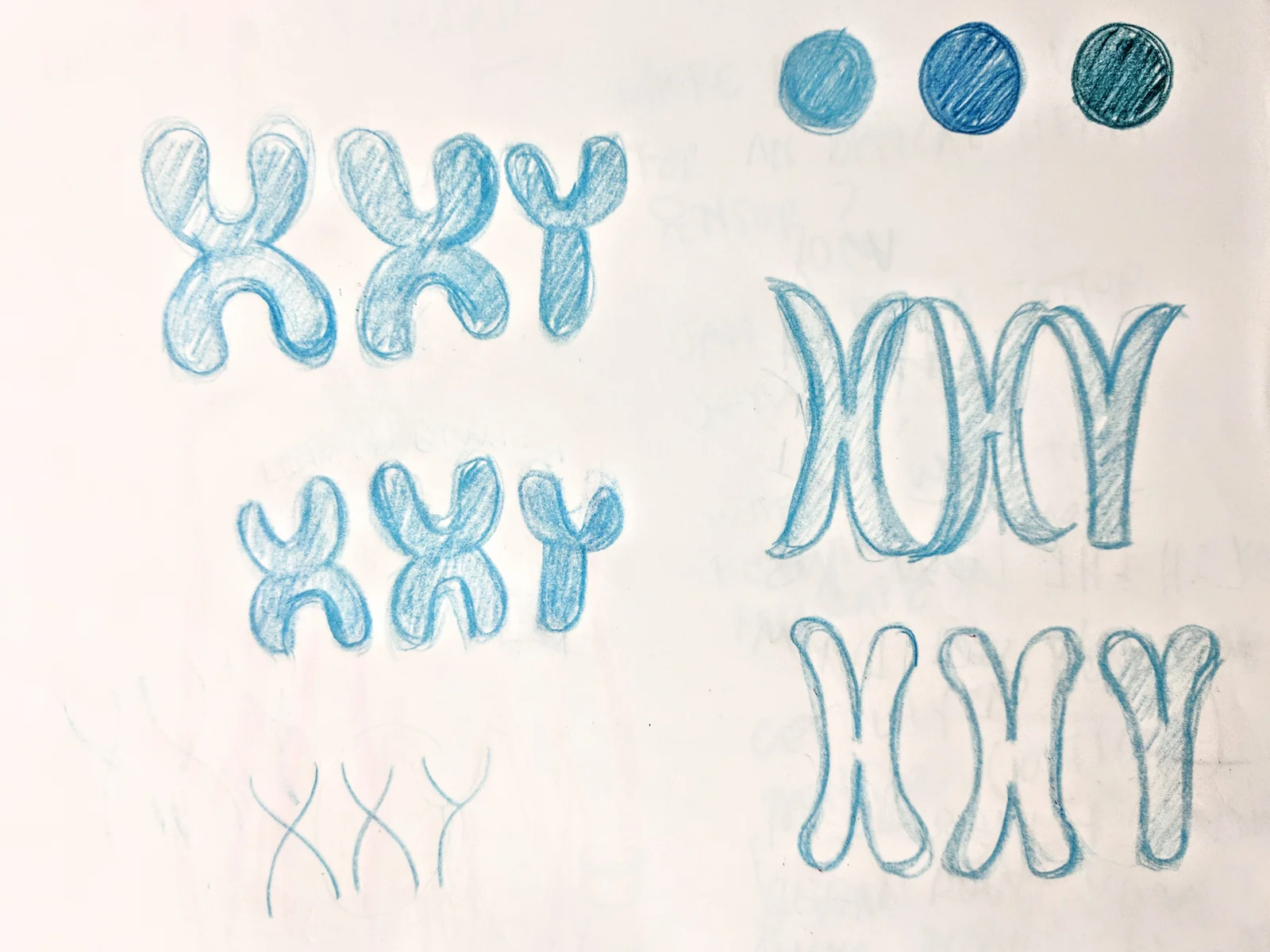 logo drawings 1.jpg