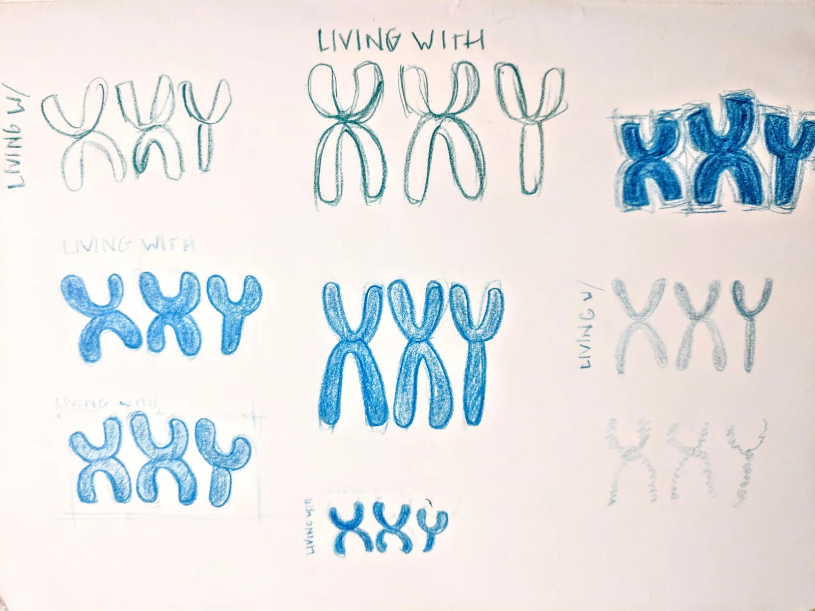 logo drawings 2.jpg