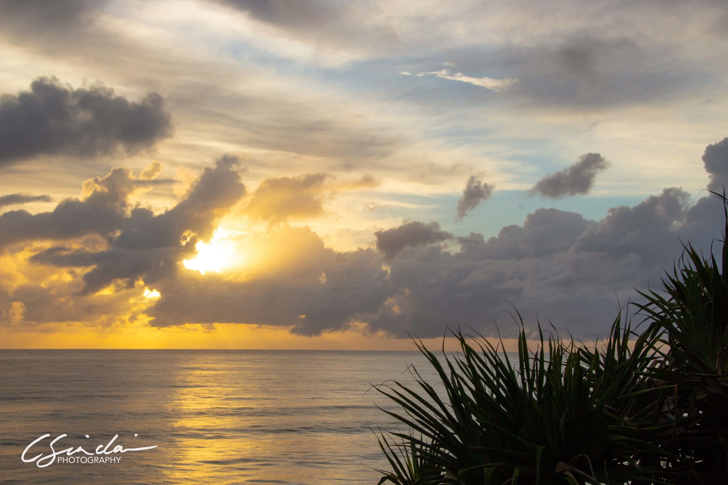 Burleigh Sunrise