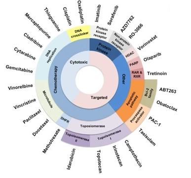 Chemotherapy Resistance