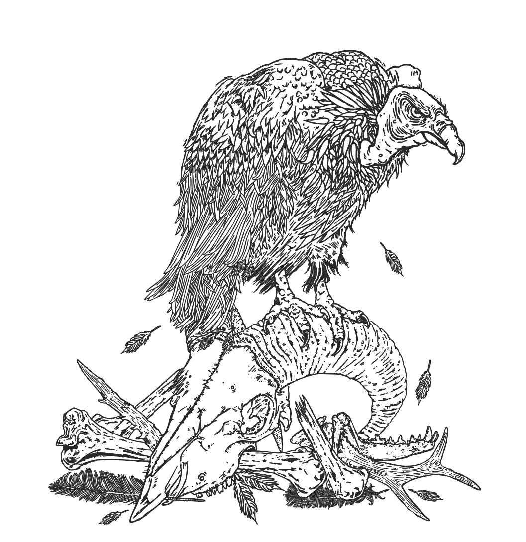 Vulture artwork detail