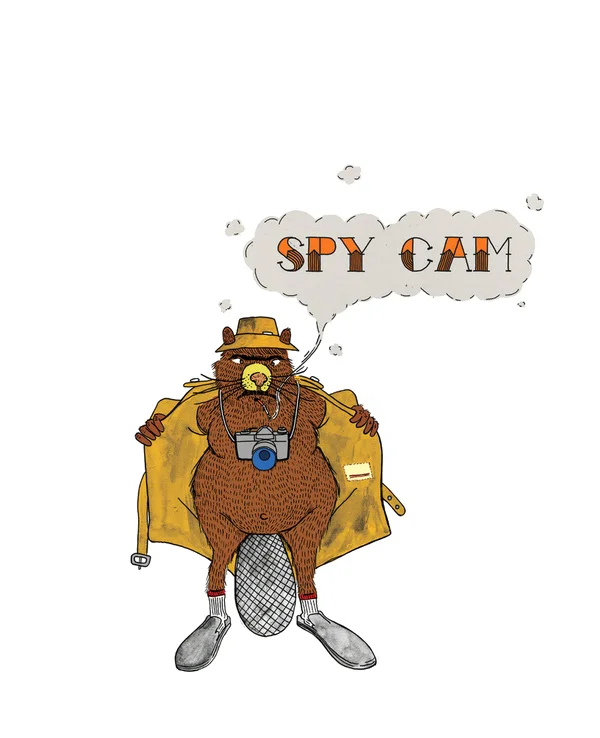 King snow magazine - Spy Cam spot illustration