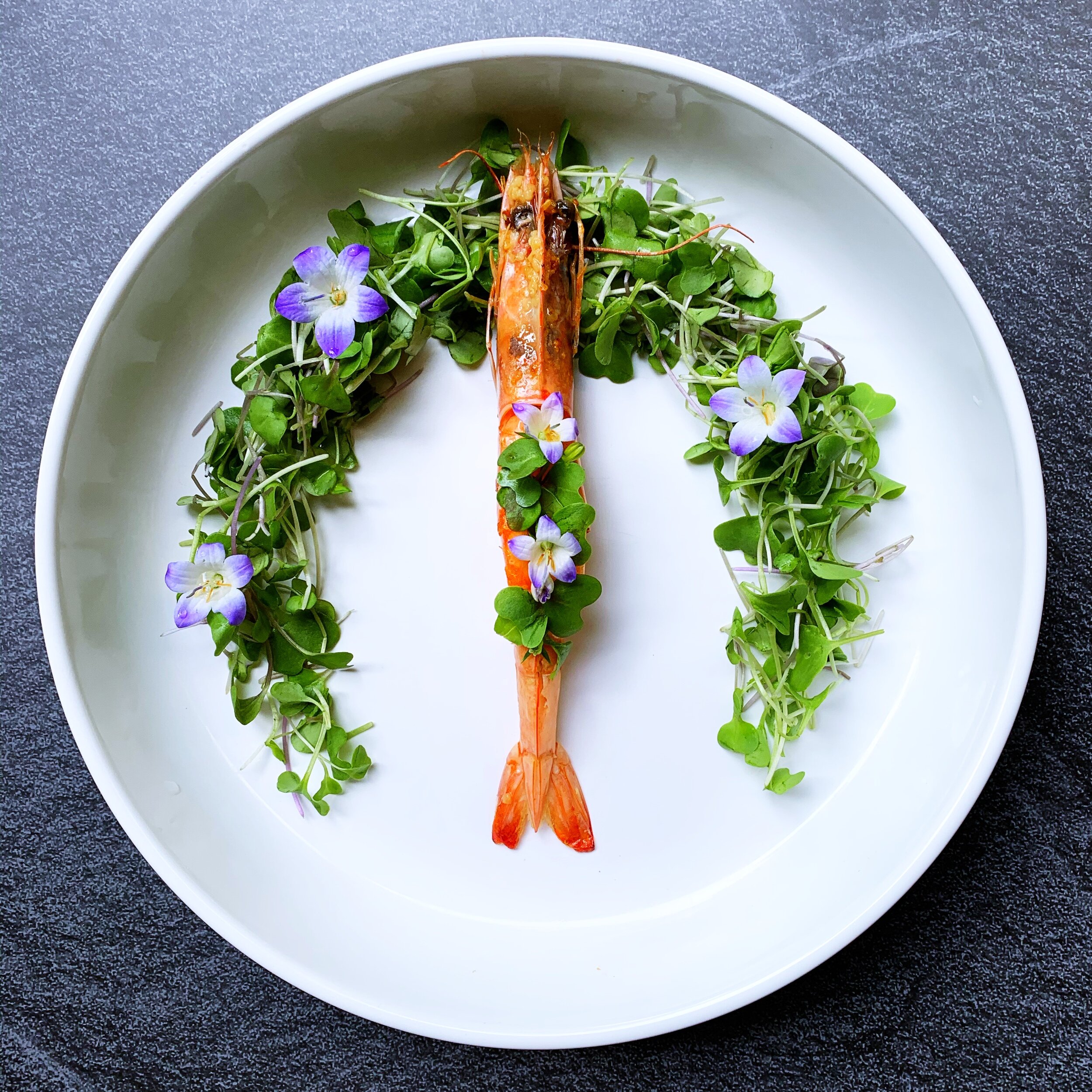 Prawn & garden