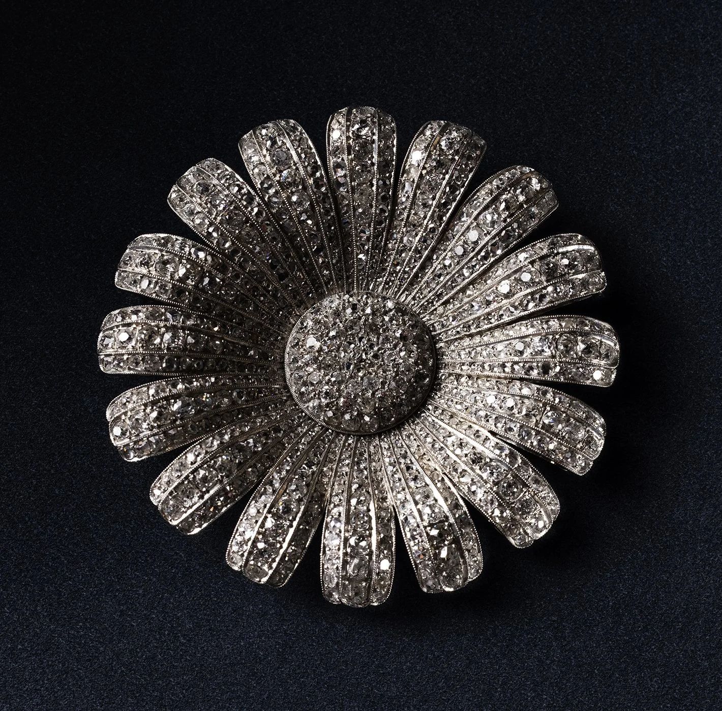 _06_G5A0841_2 copy.jpg