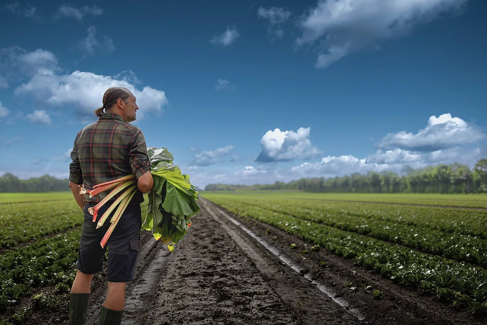 _06_G5A2300_V02 copy.jpg