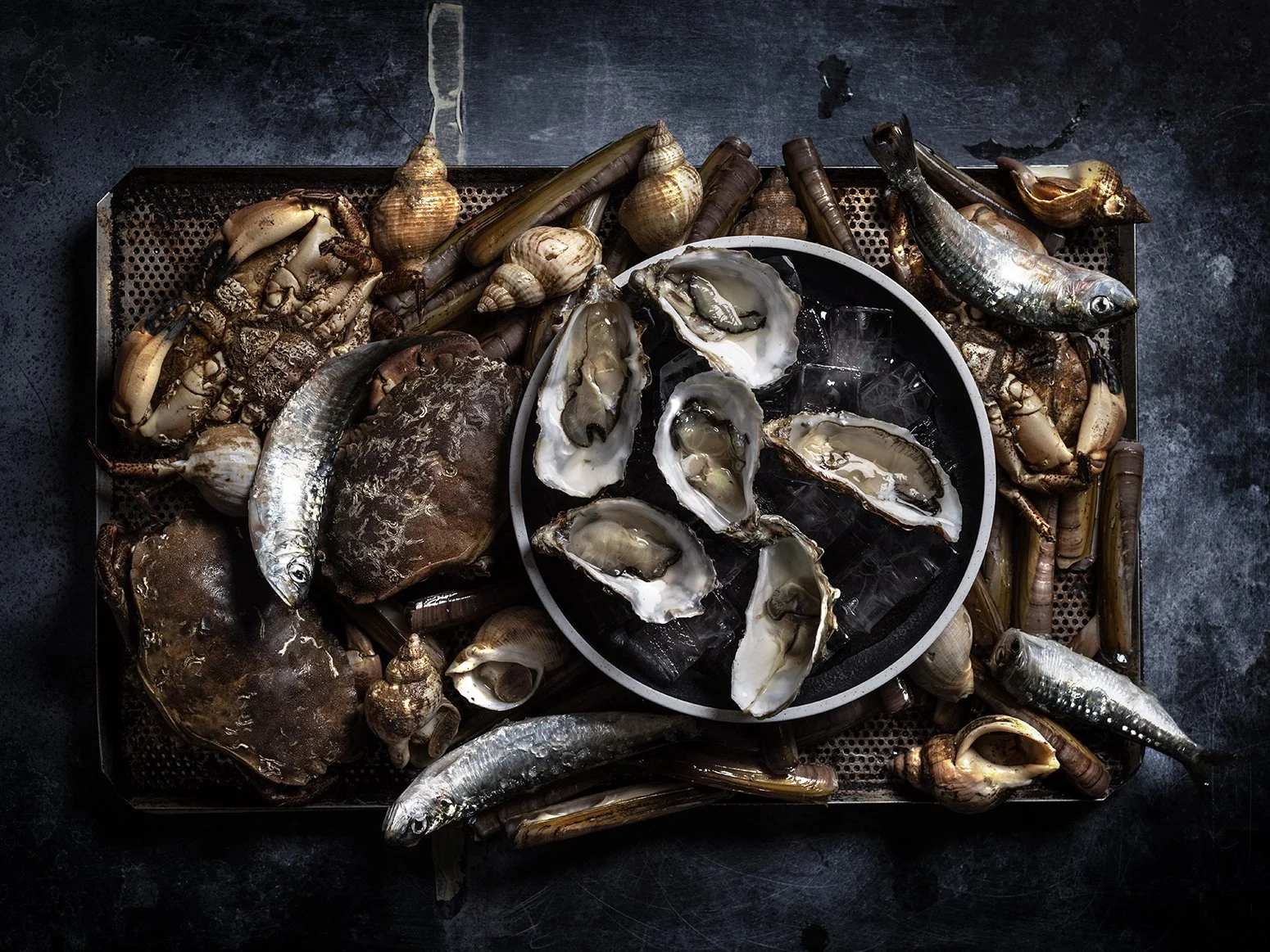 _G5A8831_F4 copy.jpg