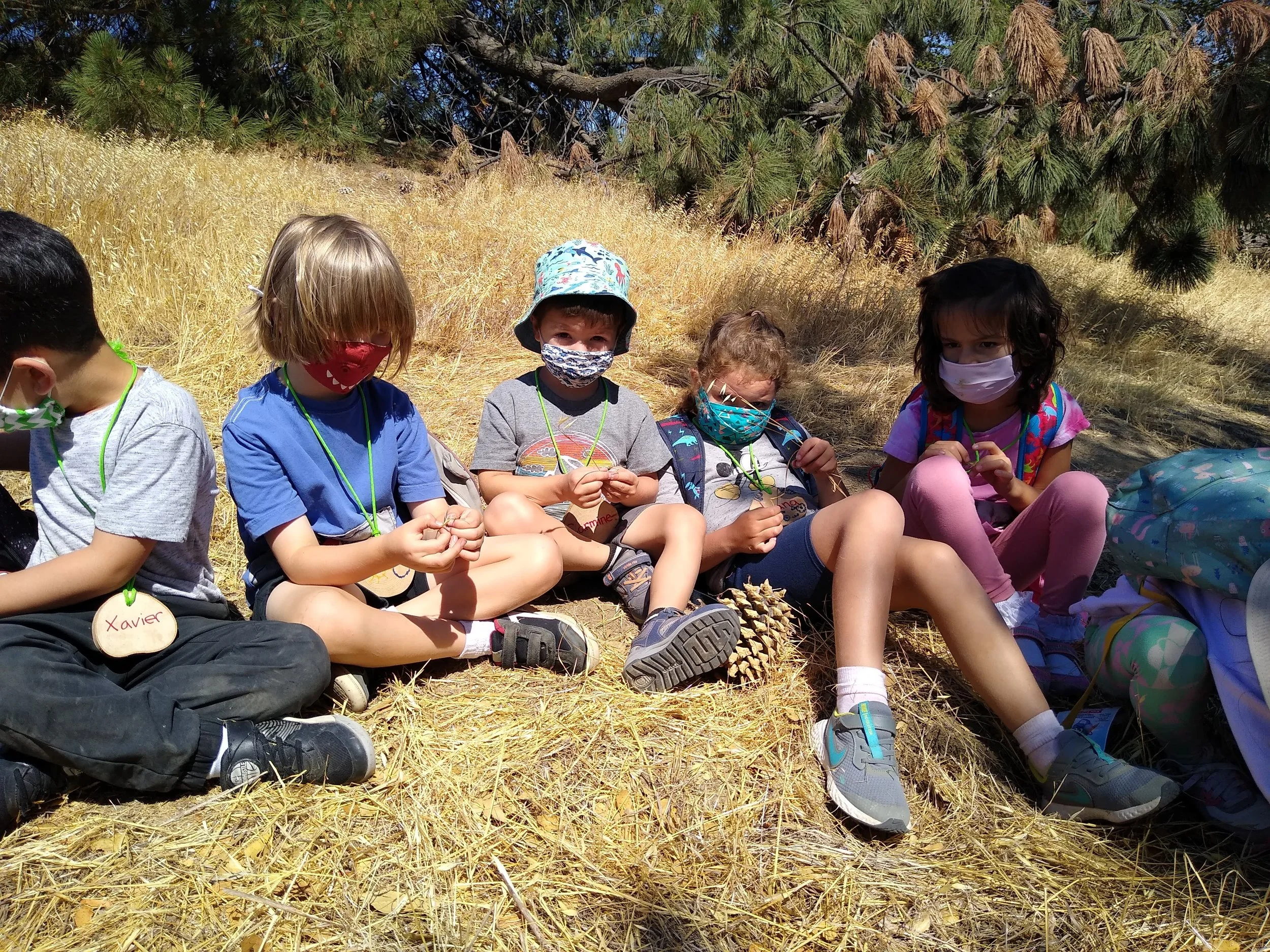 Lindsay Wildlife Summer Camps are Live - and on sale!!! 