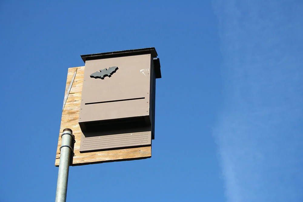 Conservation-Bat-Box-2.jpg