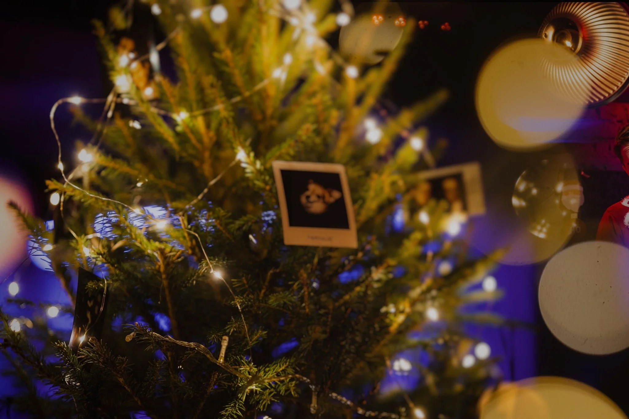 Philly Joe's Jazziklubi jõululaat