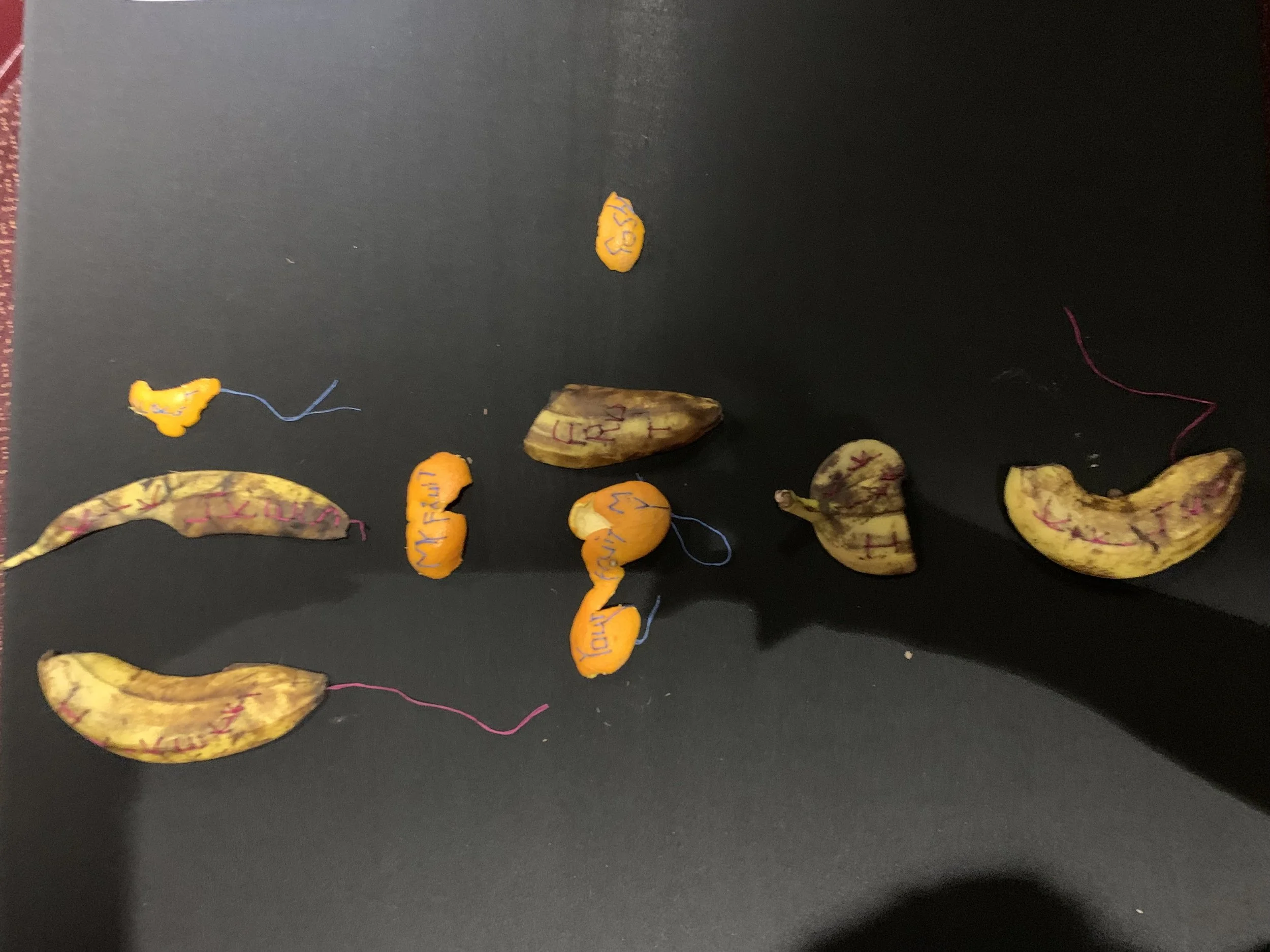 Fruit 1.jpg