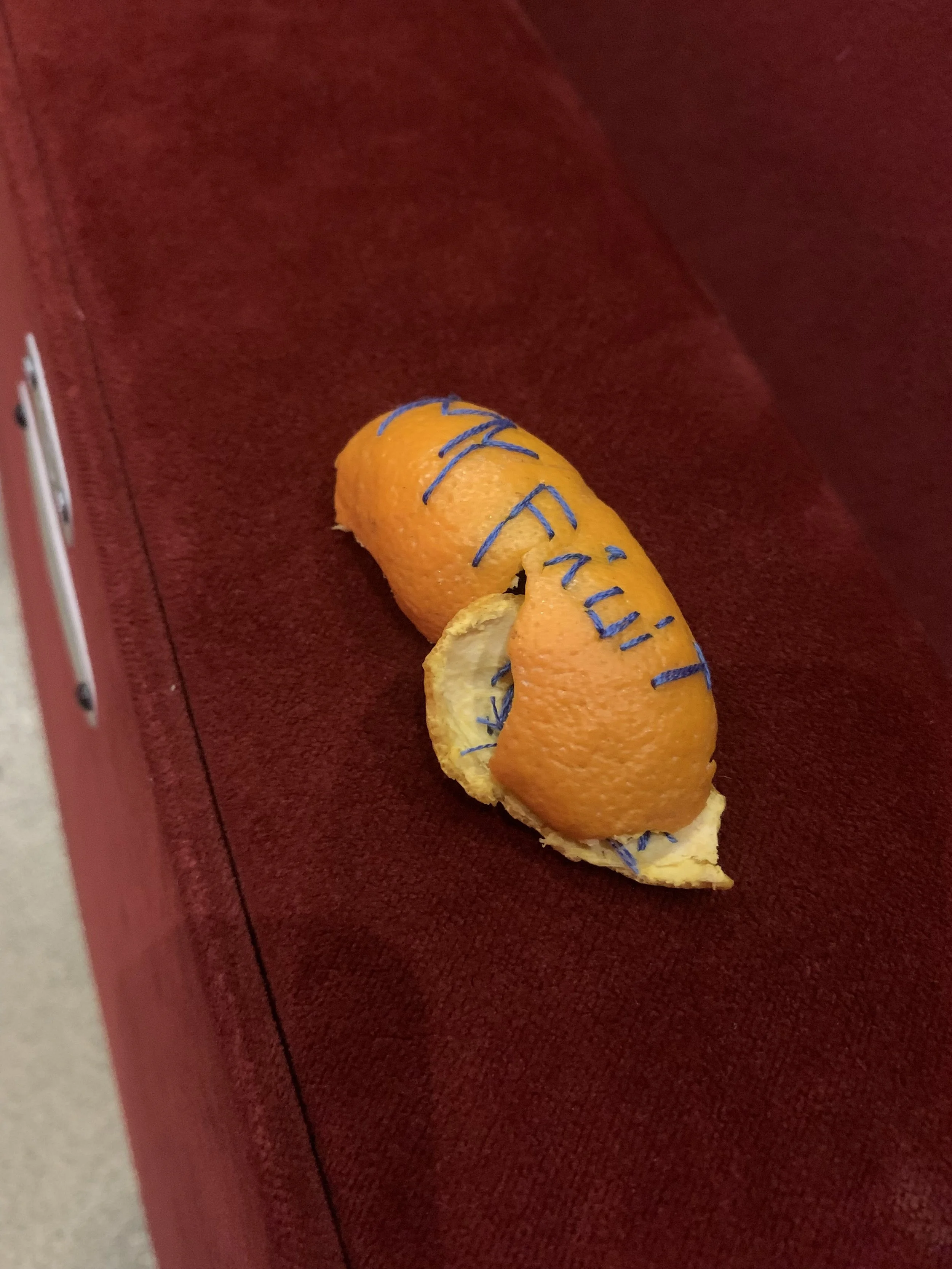 fruit 2.jpg