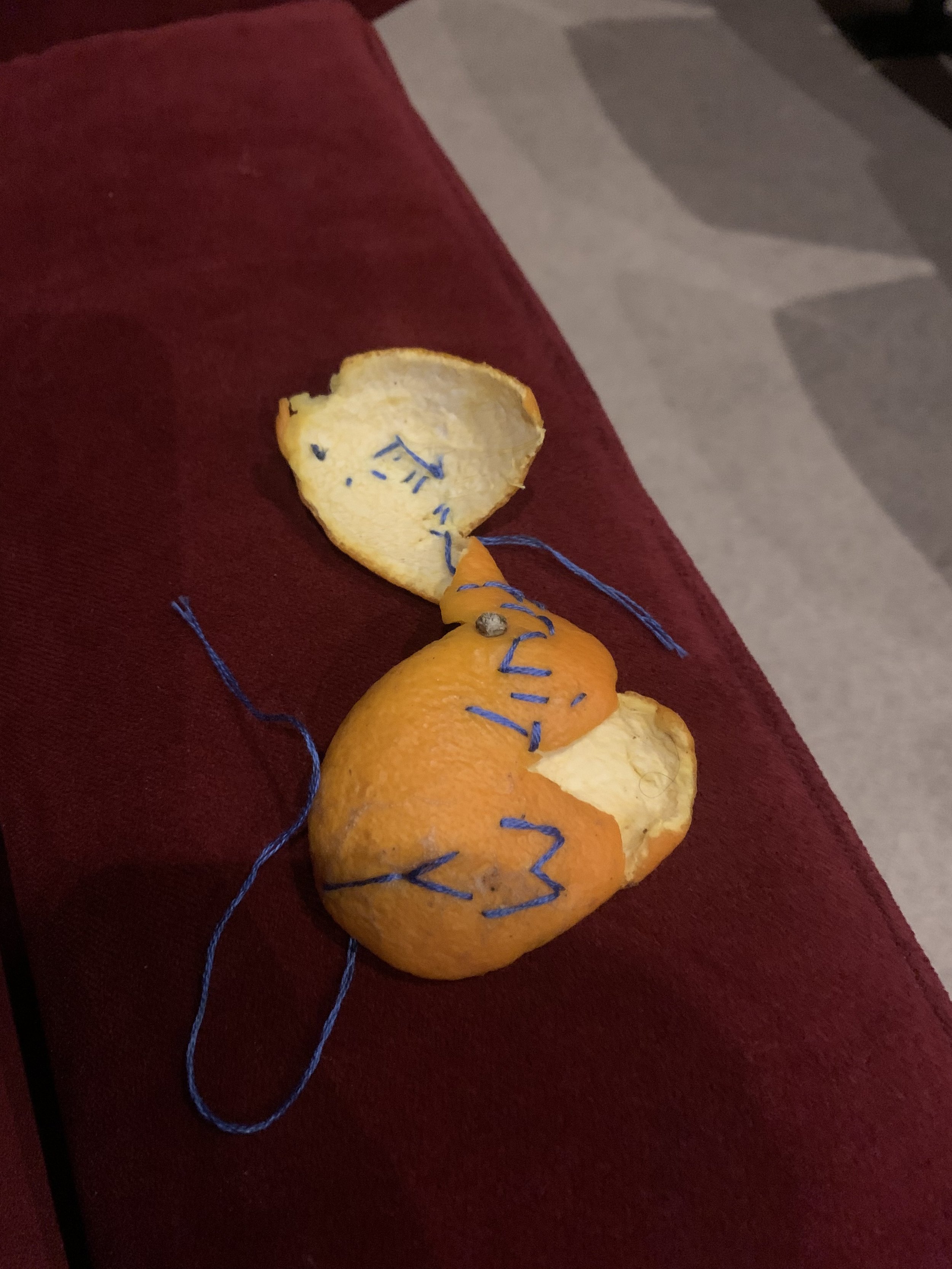 fruit 4.jpg