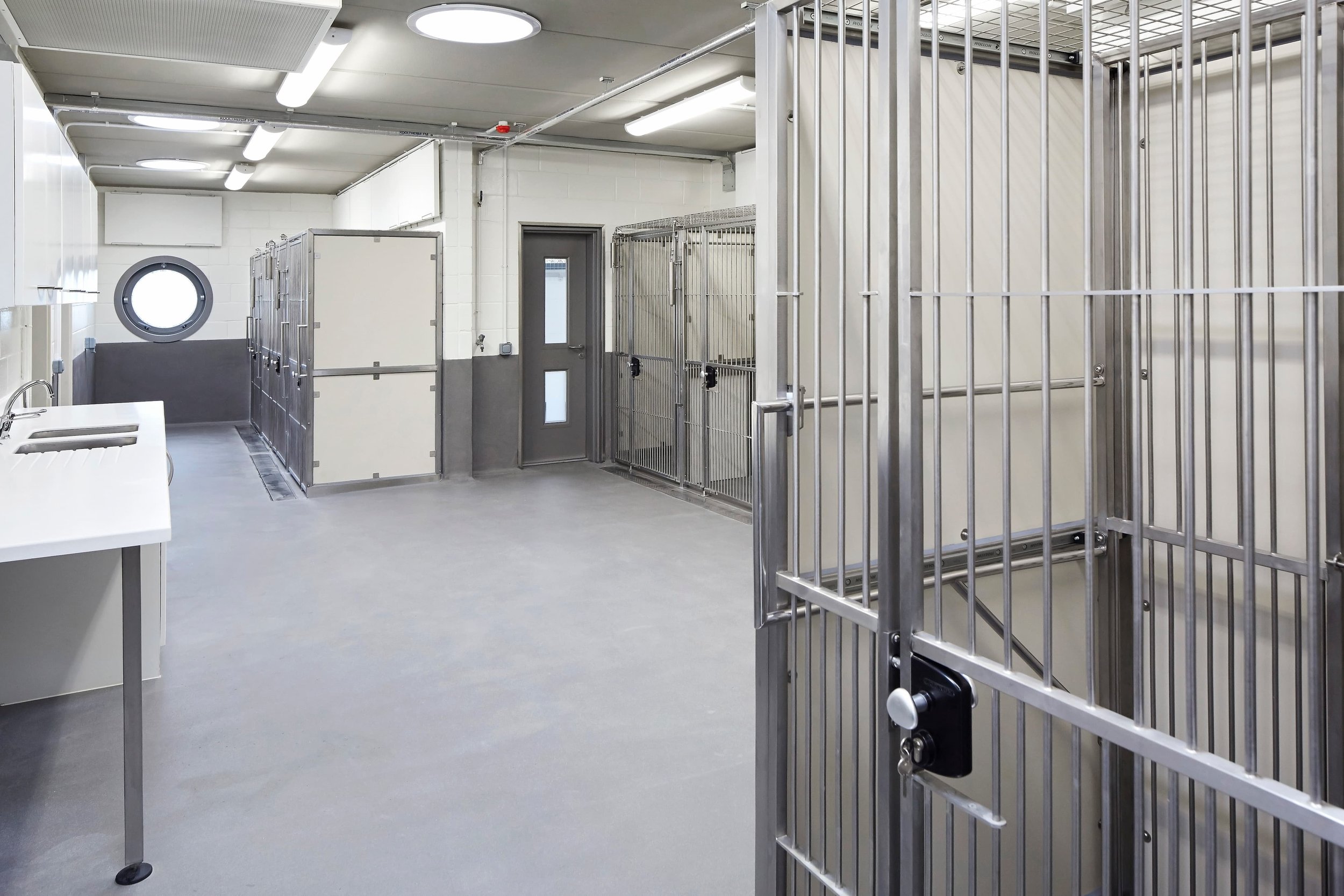 JCA_Battersea Dogs and Cats Home_©Hufton+Crow_040a.jpg