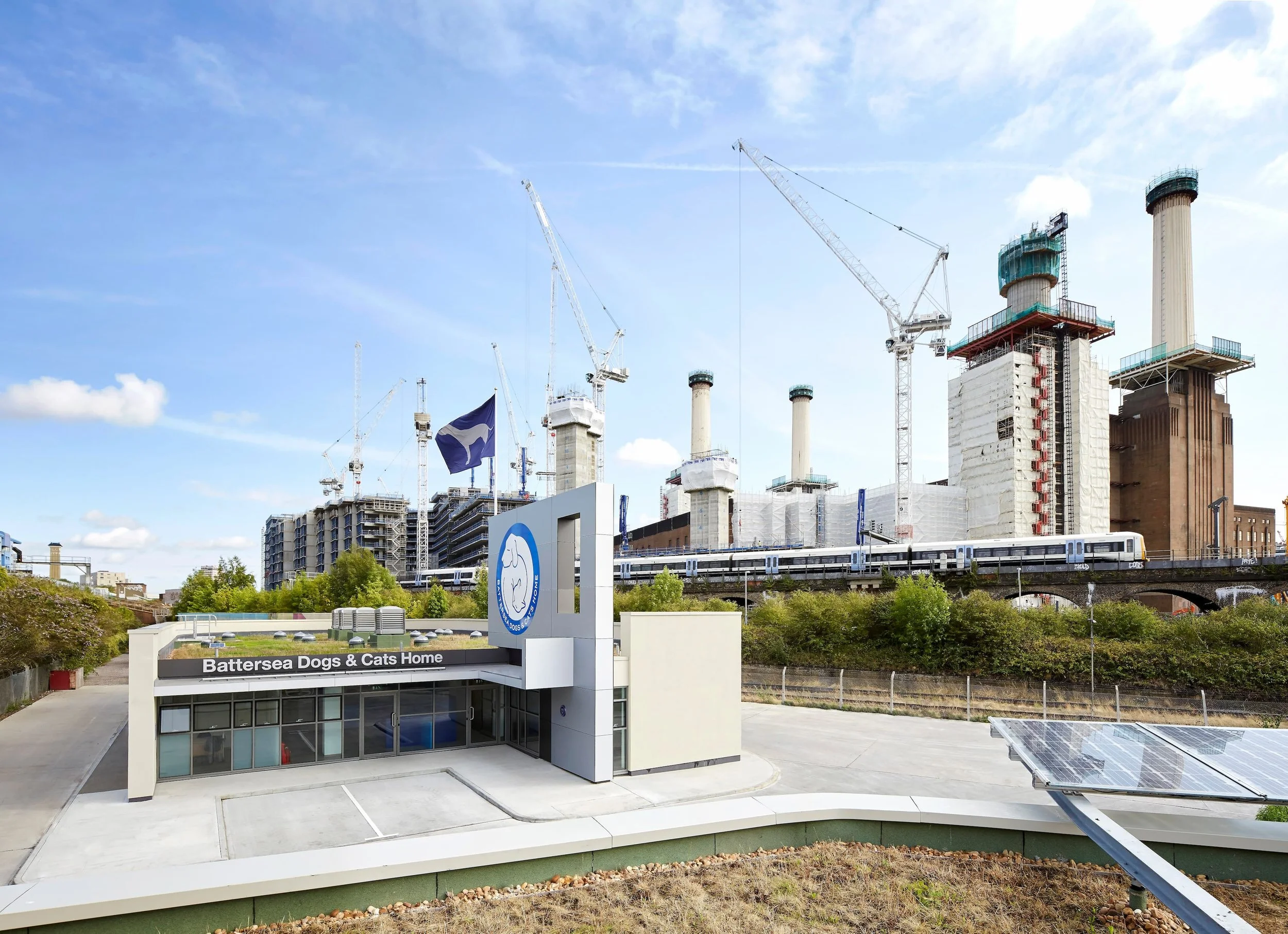 JCA_Battersea Dogs and Cats Home_©Hufton+Crow_025a.jpg