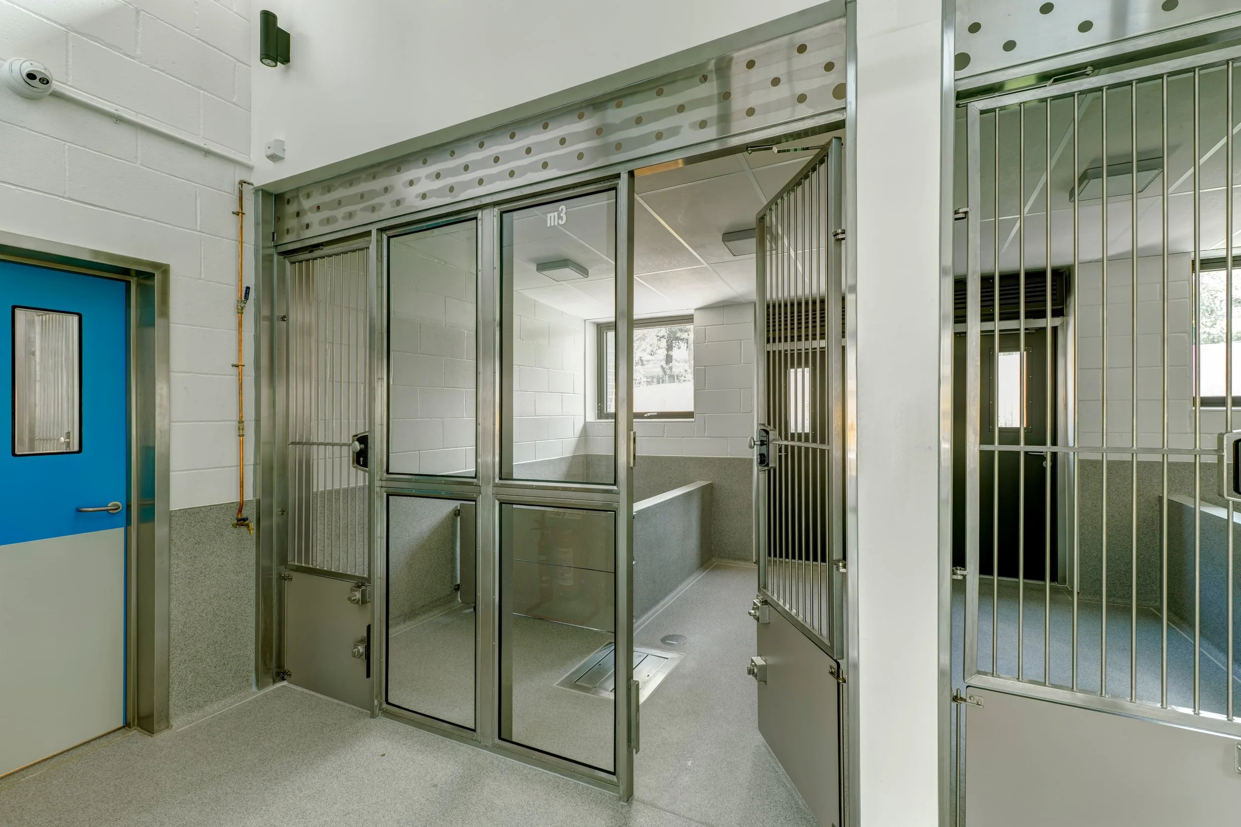 Pippin 20 Hi Res (1).jpg