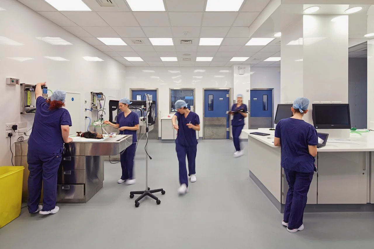 JCA_Battersea Dogs and Cats Home_Visit 2_©Hufton+Crow_009.jpeg