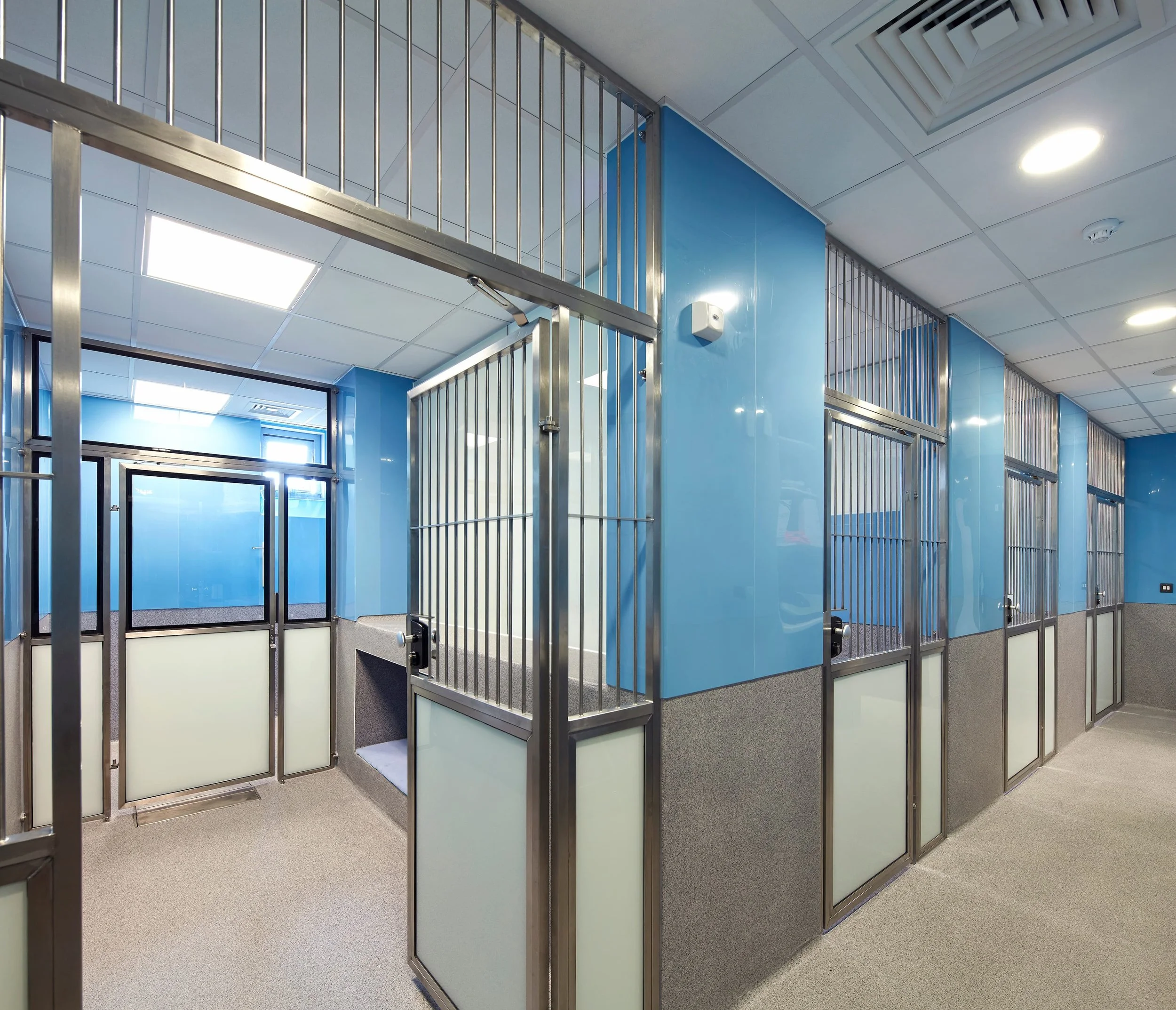 JCA_Battersea Dogs and Cats Home_Visit 2_©Hufton+Crow_012.jpg