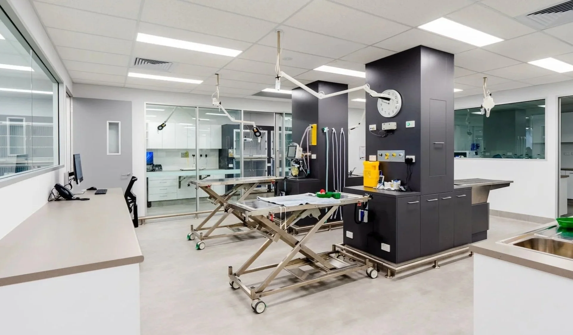 Sydney Pet Dentistry - Sydney, Australia