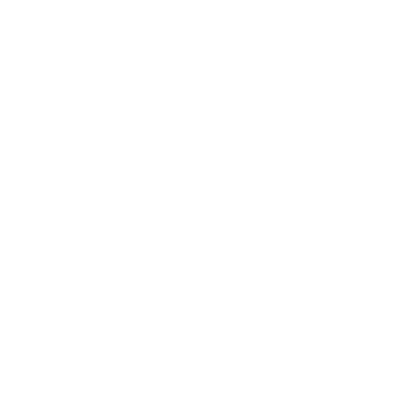 Maximilian Wiedemann - International Artist