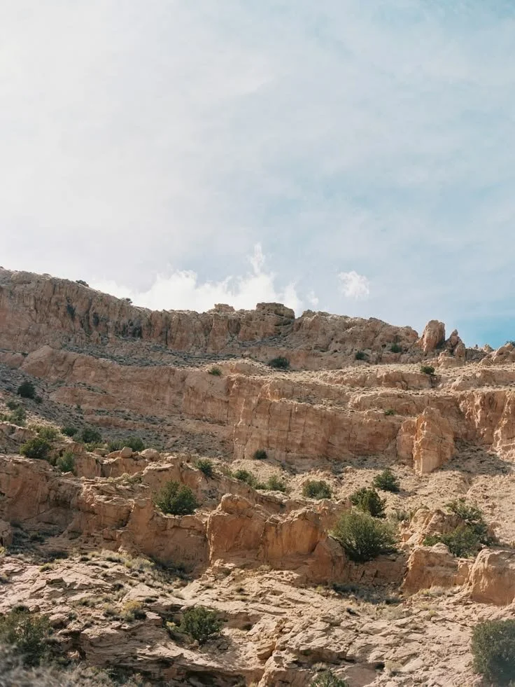 (1) Instagram (1).jpeg