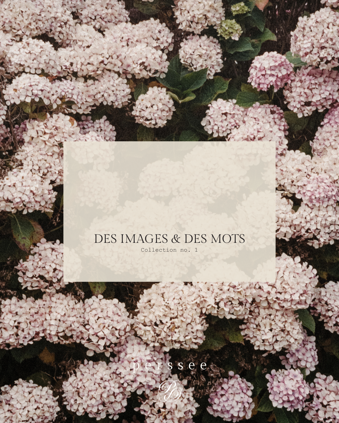 DES IMAGES & DES MOTS (3).png