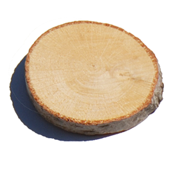 wood.jpg