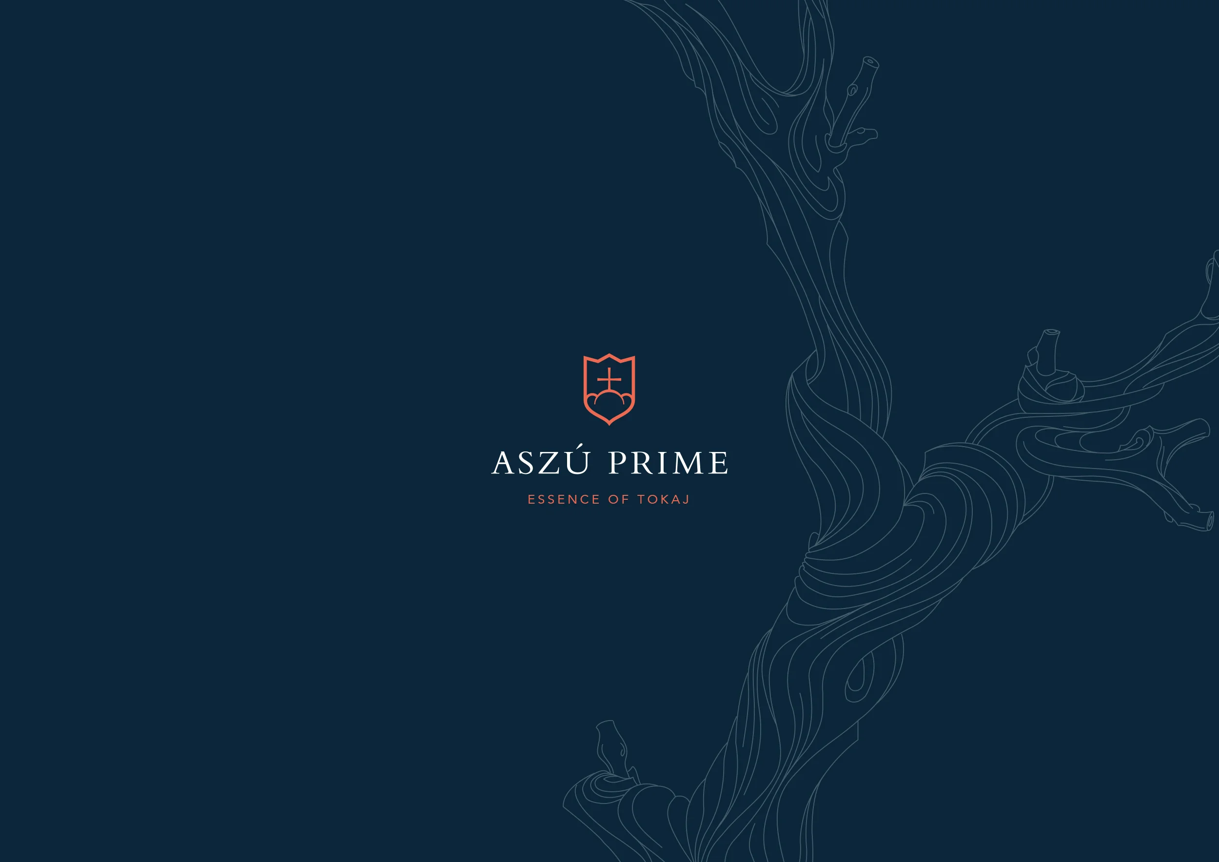 Aszuprime_web_hatter_2.jpg