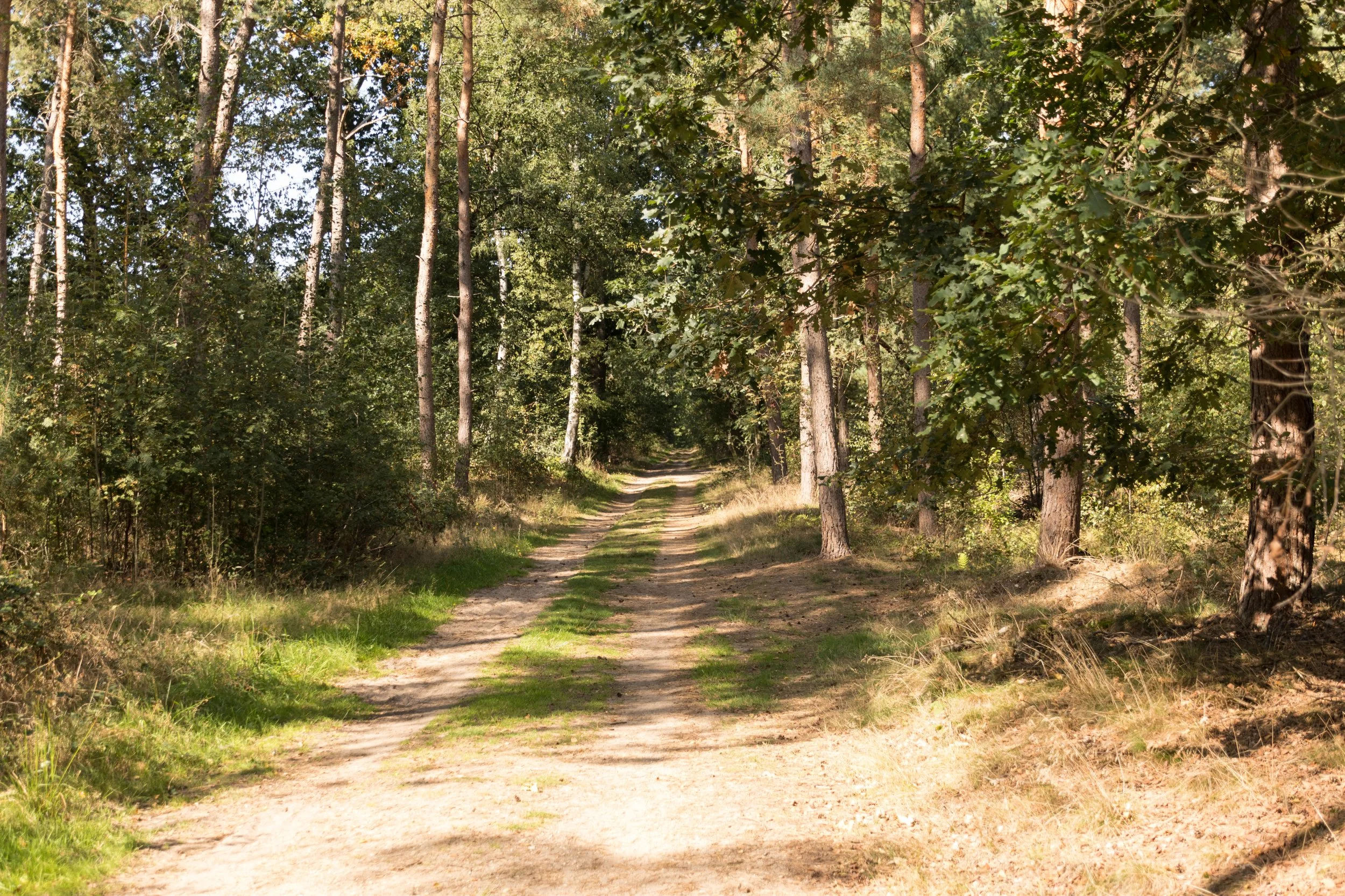 sept 2020 2 (1 van 1).jpg