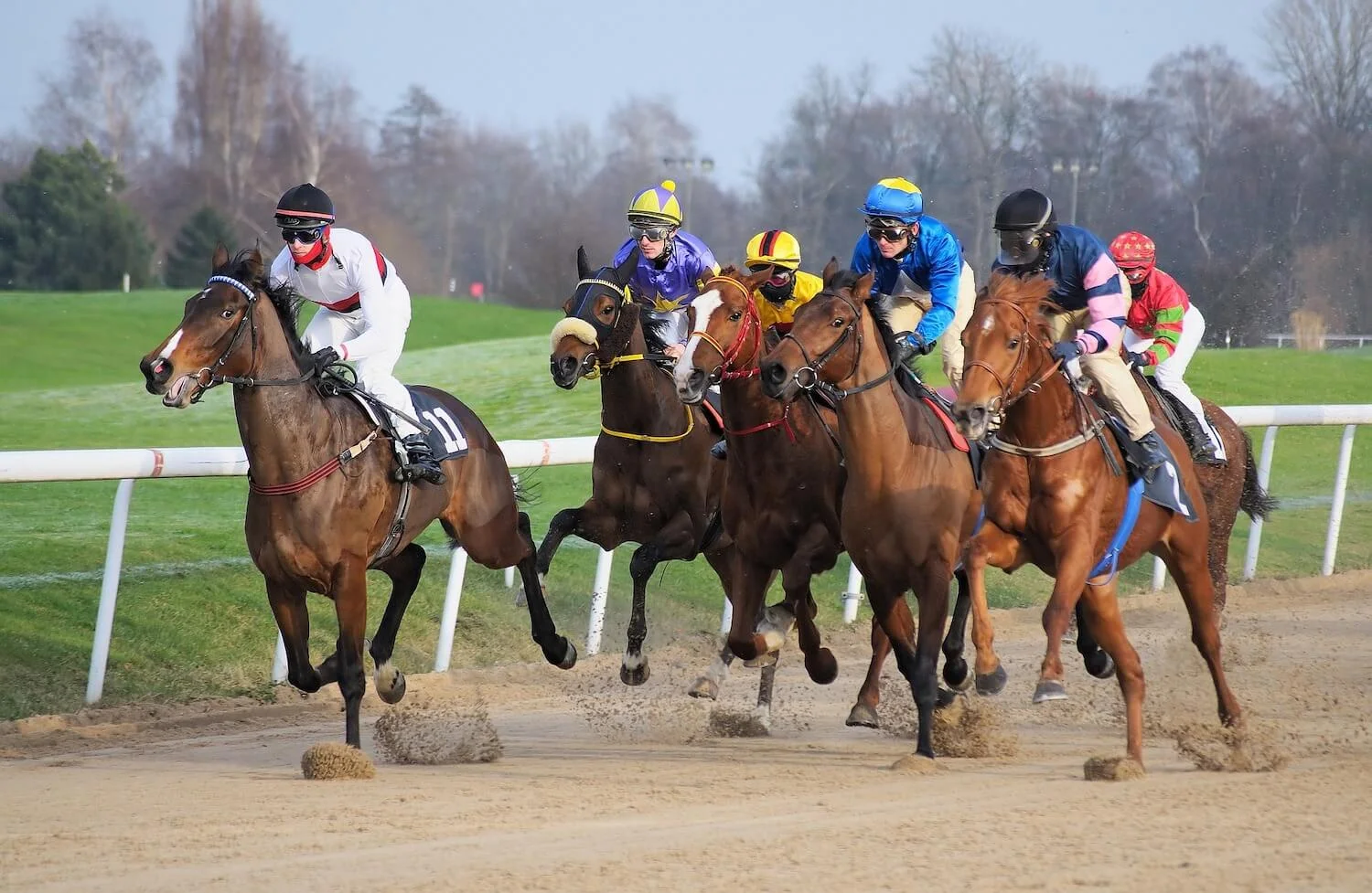 What The Media Says About Matched Betting