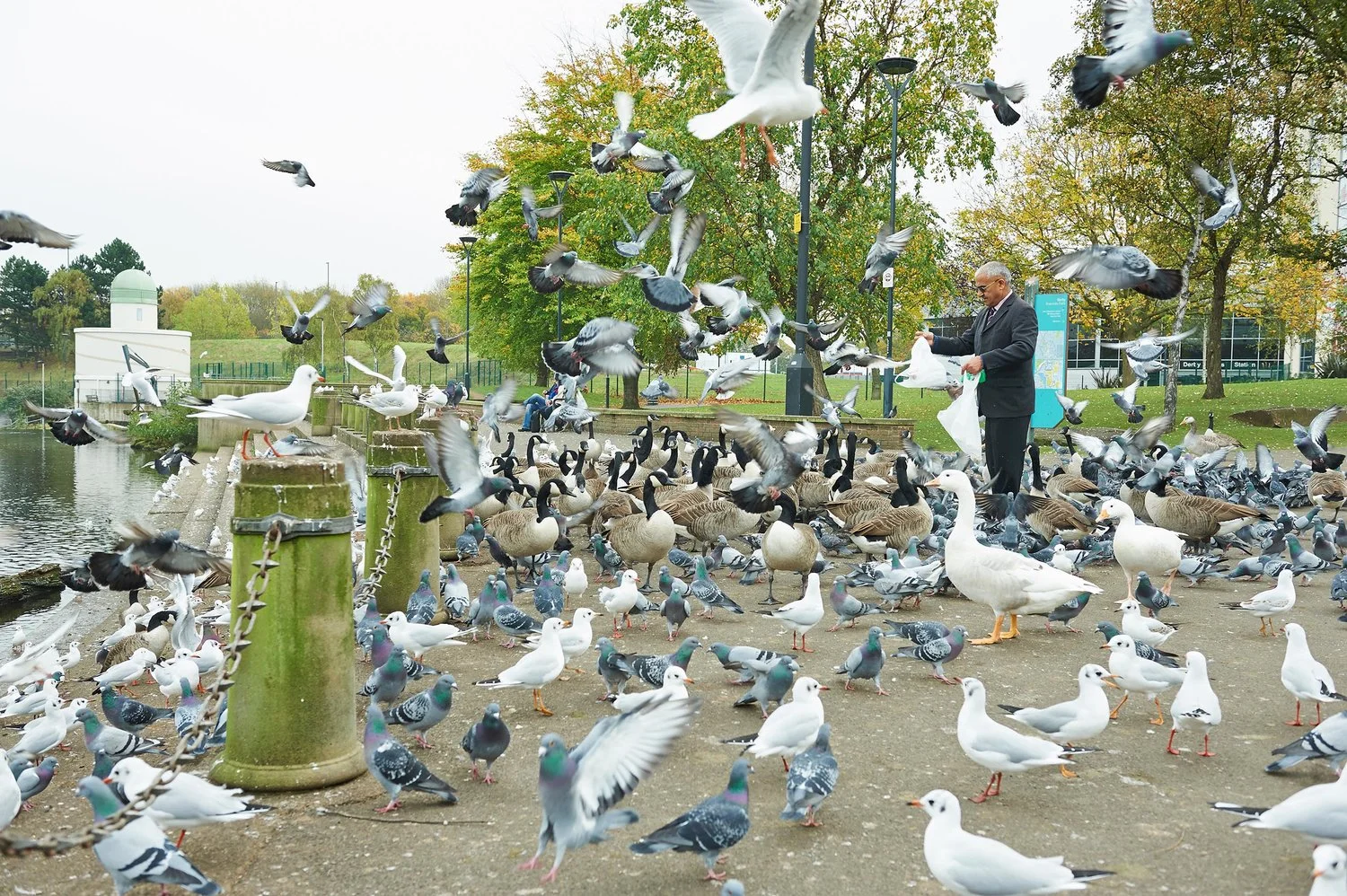River Gardens, Derby