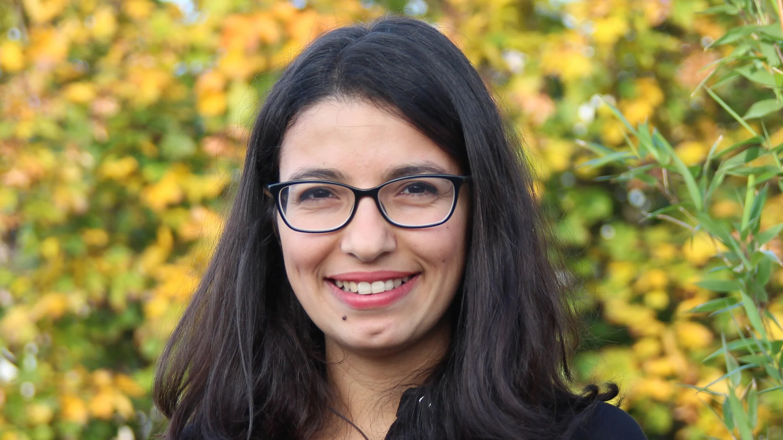 NDSA support for international certification recognition in the UK