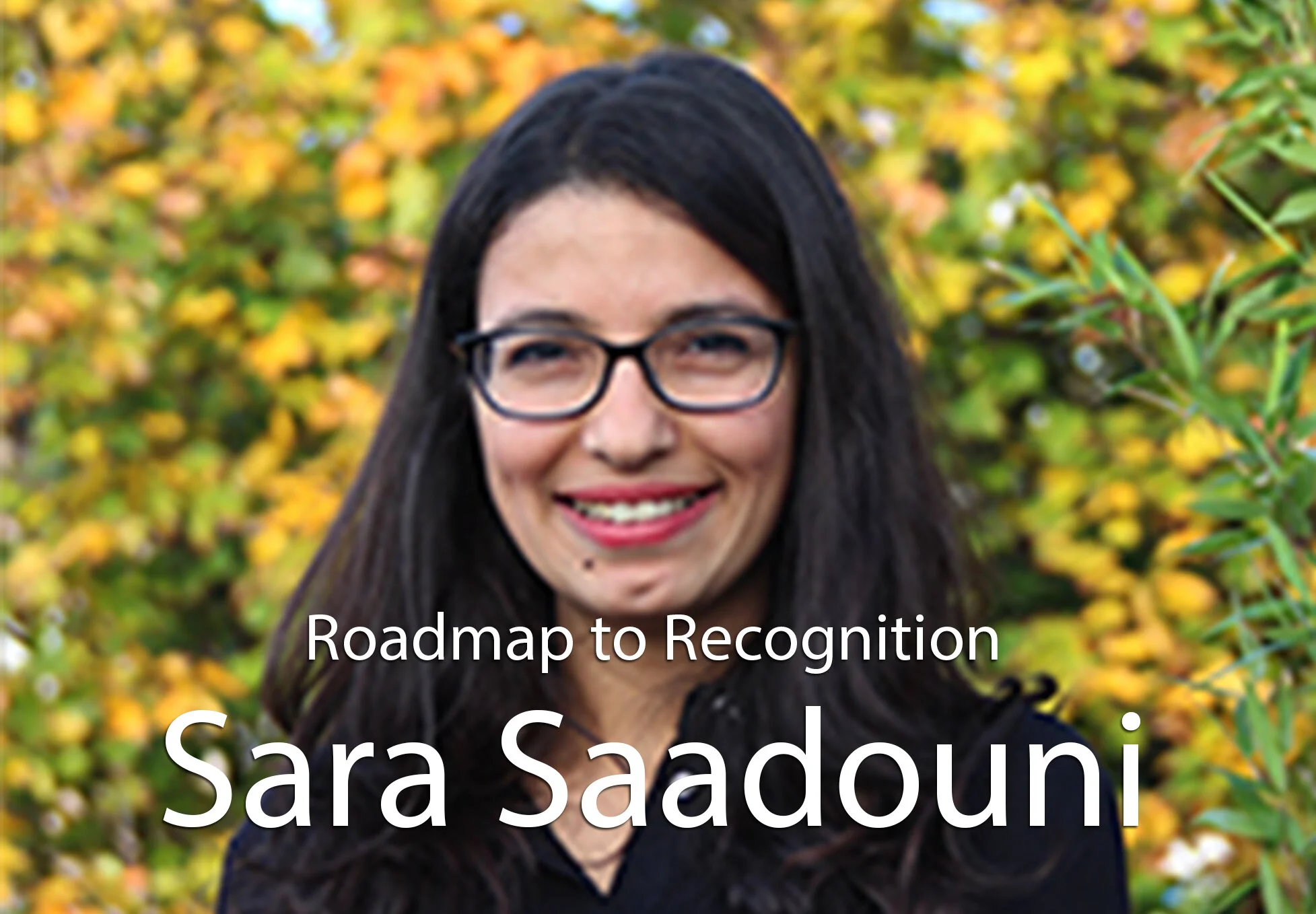 Roadmap to recognition: Supporting international certification recognition