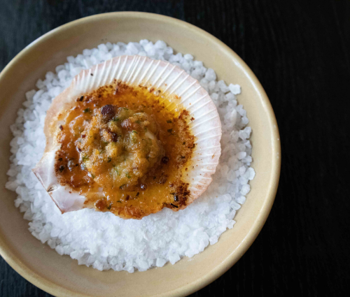 Scallop Blog.png