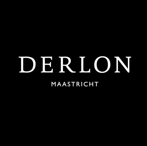 Website logo Derlon.jpg