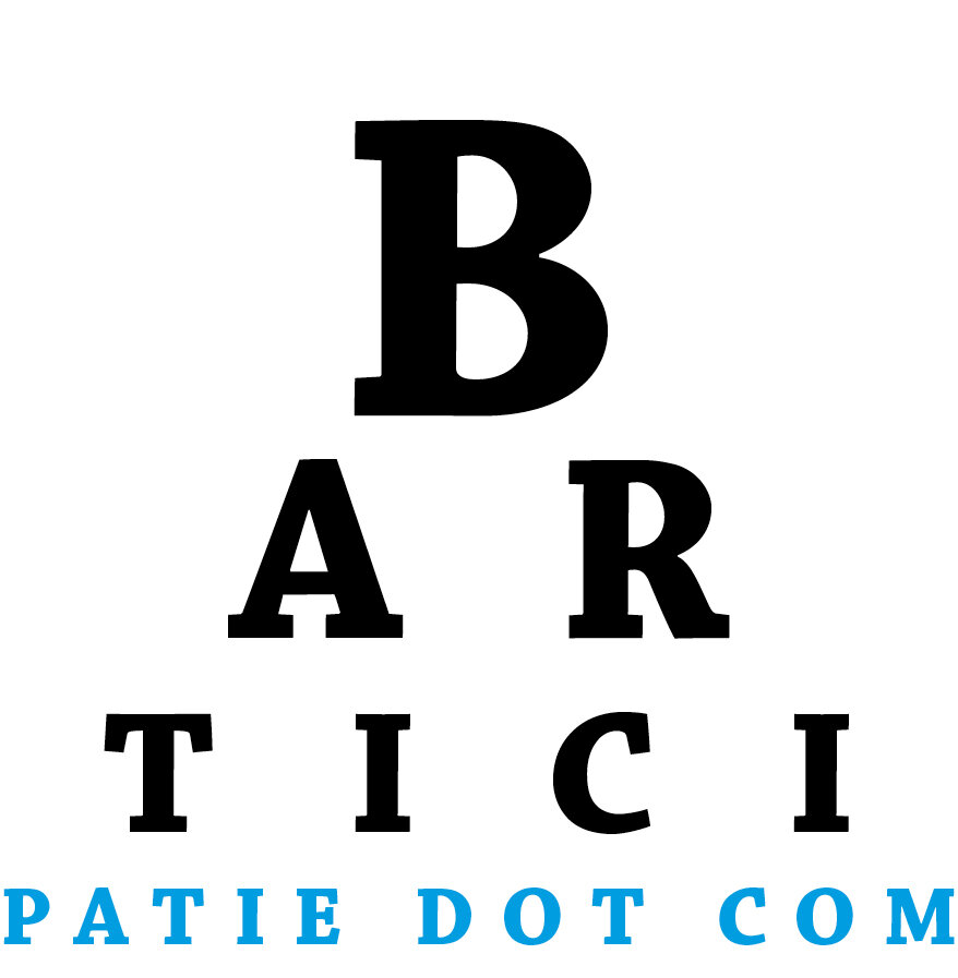 Website Barticipatie.com.jpg