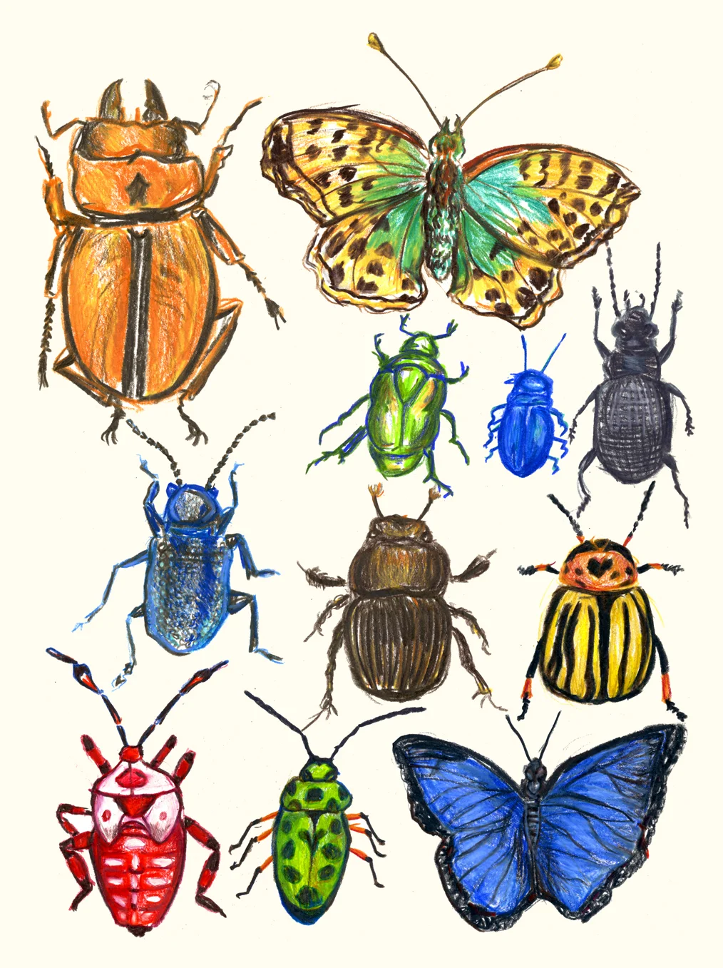 BUGS.jpg